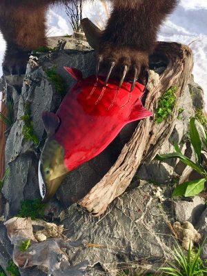 life-size-bear-taxidermy-mount-eating-fish-ray-wiens
