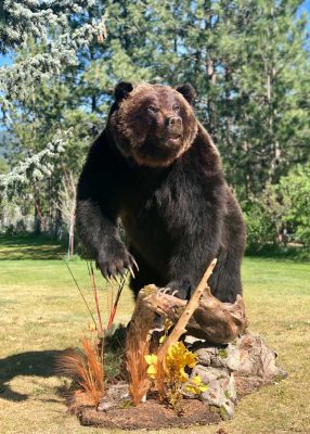 life-size-grizzly-mount-standing-on-rocks-ray-wiens
