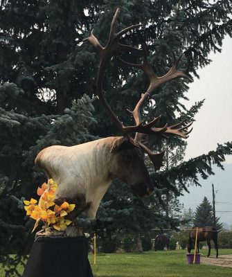 free-standing-caribou-head-taxidermy-mount-ray-wiens