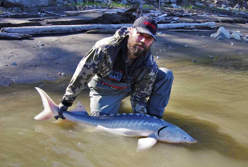 Ray Wiens Taxidermy & Tannery