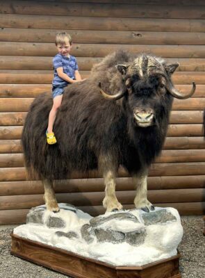 exotic-horned-lifesize-mount-ray-wiens-taxidermy-bc